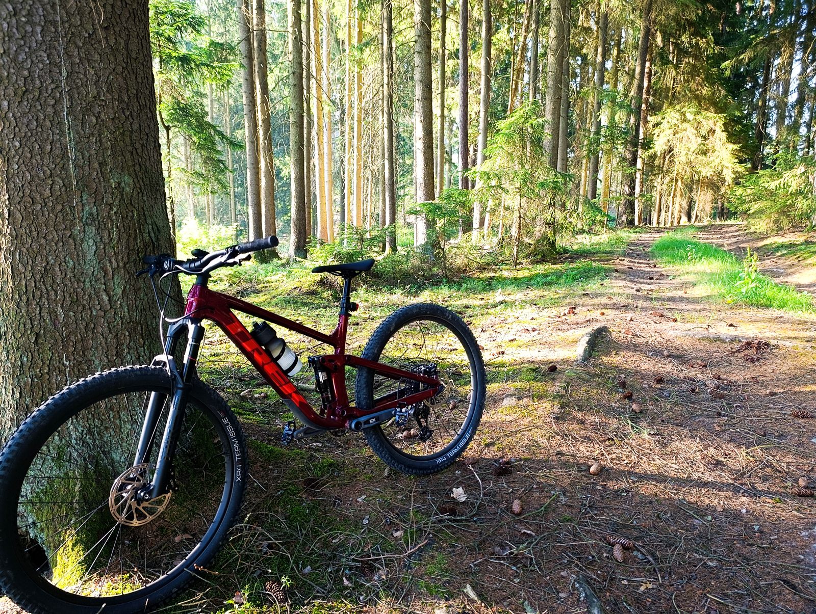 Trek Top Fuel kerékpár erdei úton